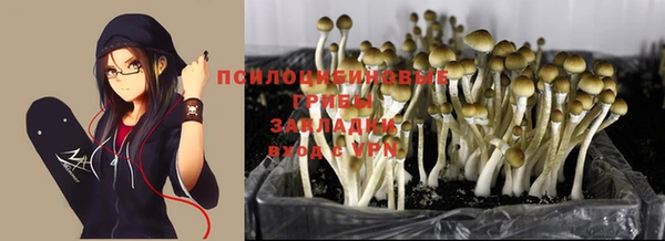 дживик Арсеньев