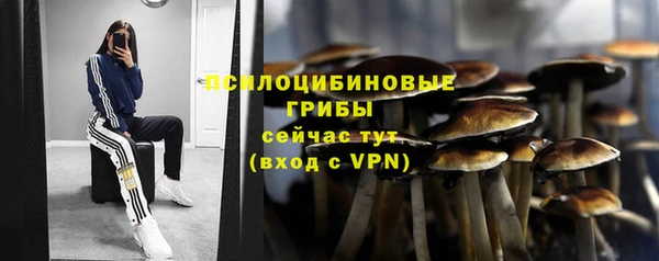 дживик Арсеньев