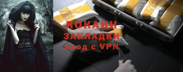 дживик Арсеньев