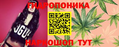 прущие крисы Канаш